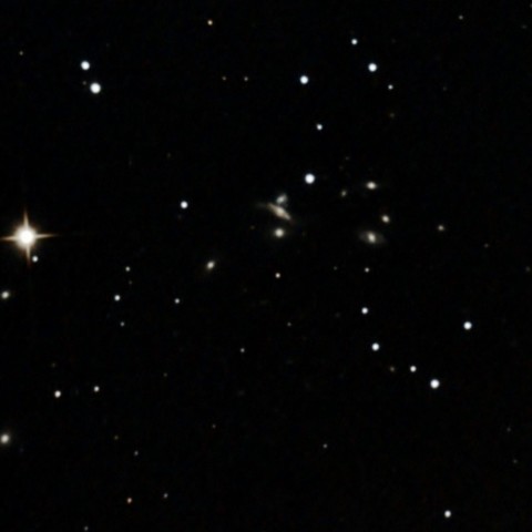 コープランドの7つ子