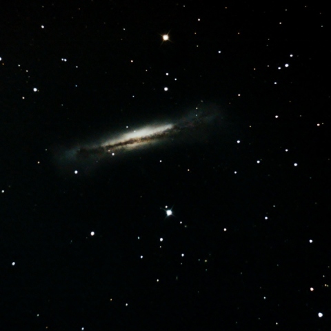 NGC3628
