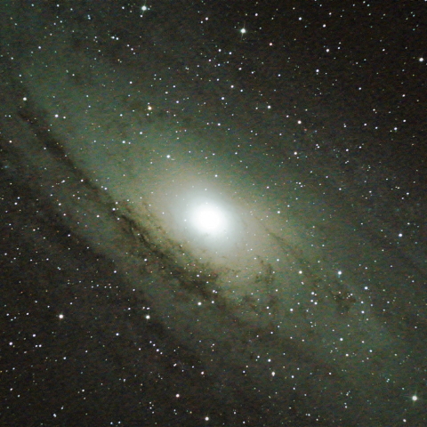 M31