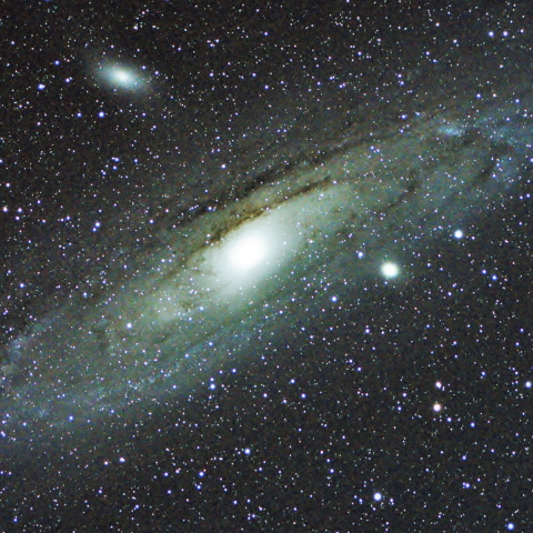 M31