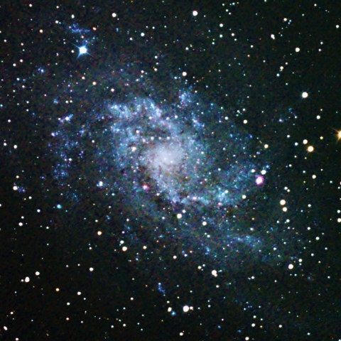 M33