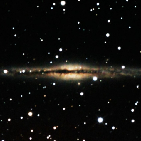 NGC891