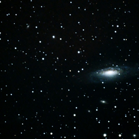NGC7331