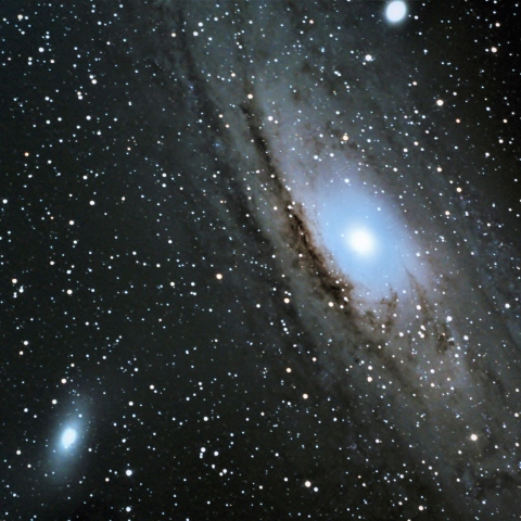M31