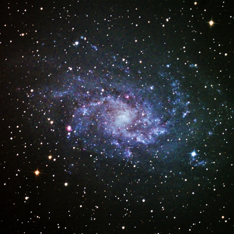 M33