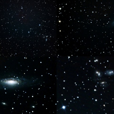NGC7331