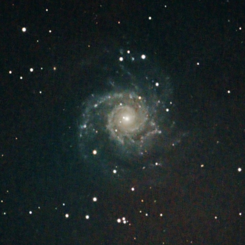M74