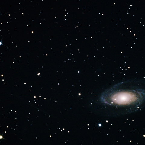 M81
