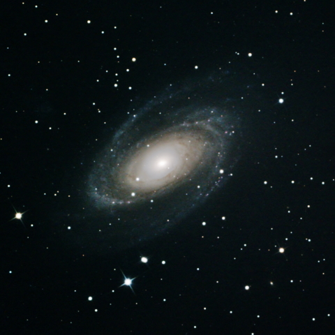 M81