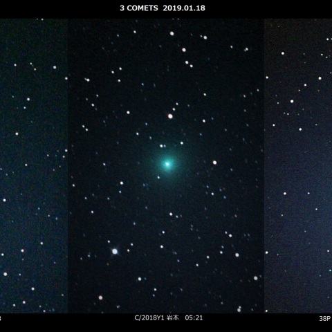 1月の3彗星 2019.01.18