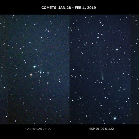 4彗星 01.28 - 02.01