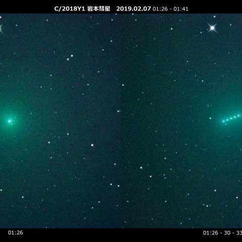 高速移動する岩本彗星2019.02.07