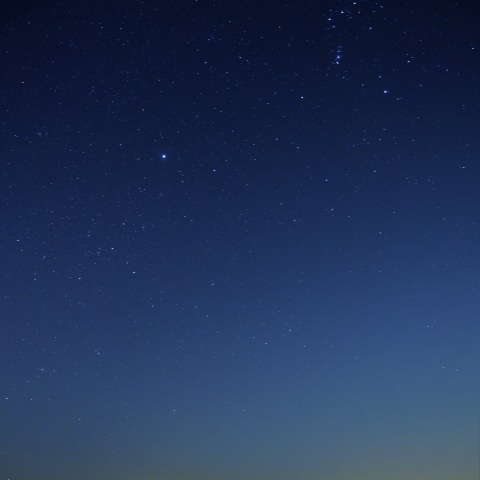 2019.1月のカノープス