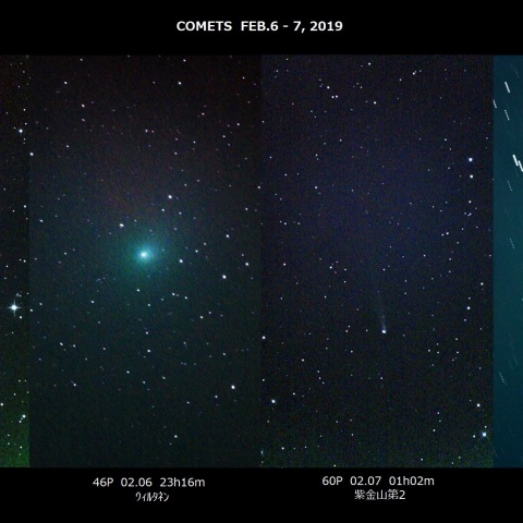 2月の4彗星