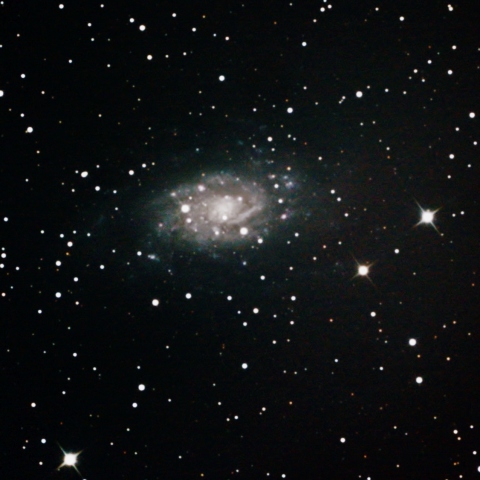 NGC2403