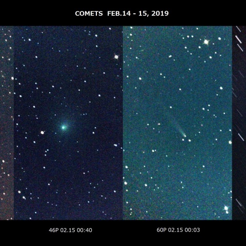 2月14-15月下の4彗星