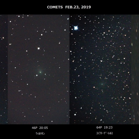 02.23の4彗星