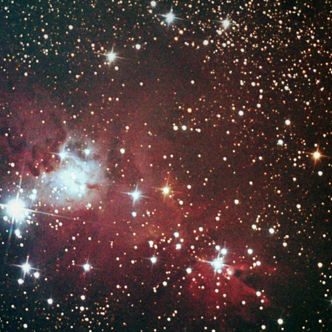 NGC2264
