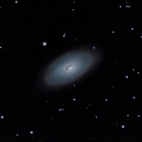 M64