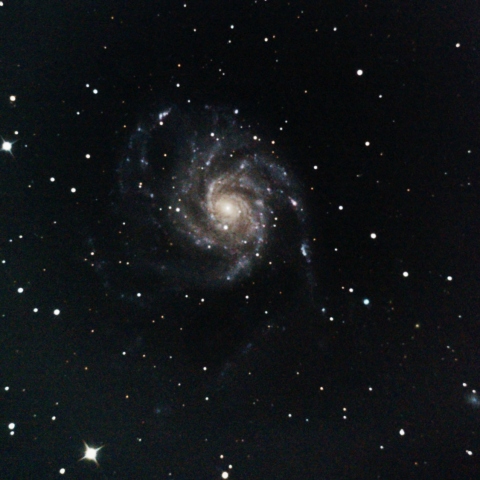 M101