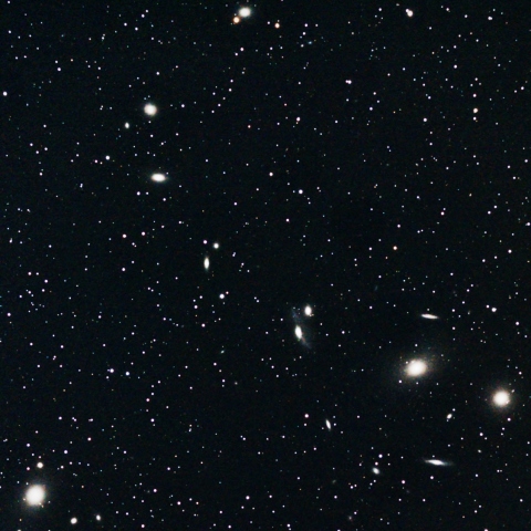 マルカリアンチェーン