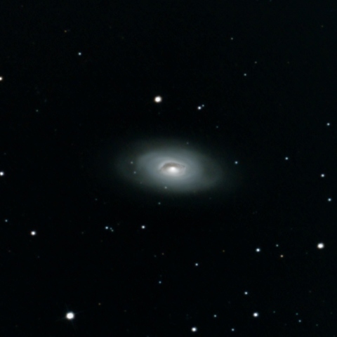 M64
