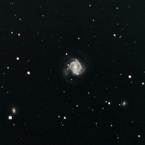 M61