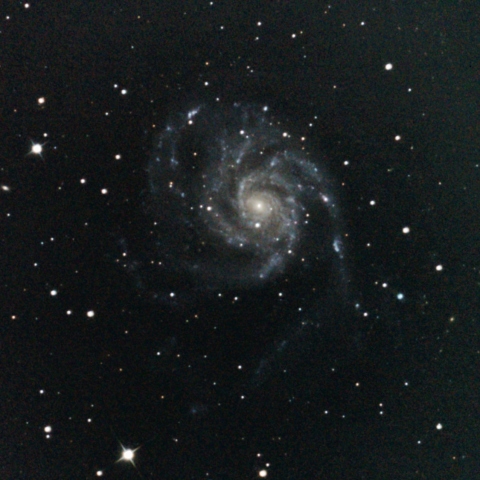 M101