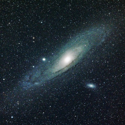 M31