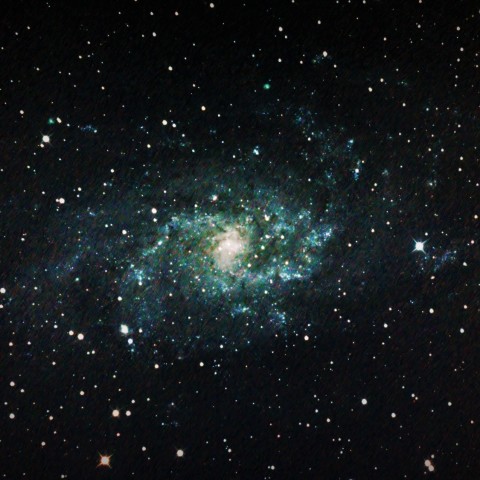 M33