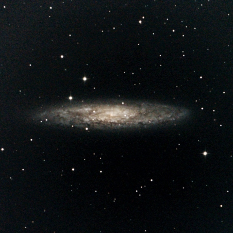 NGC253