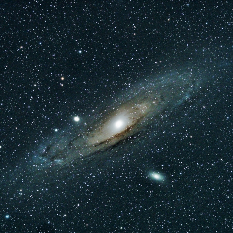 M31