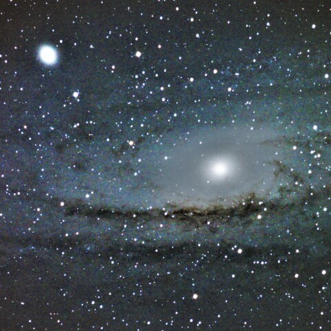 M31