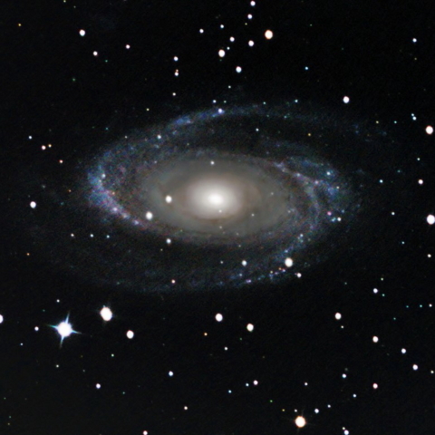 M81