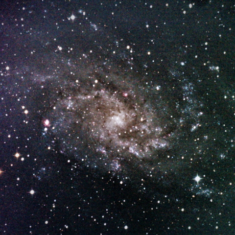 M33