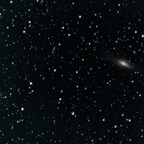 NGC7331