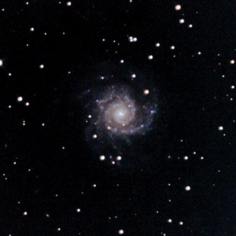 M74