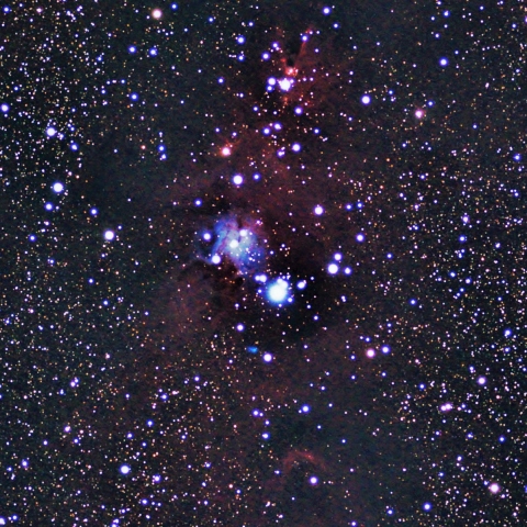 NGC2264