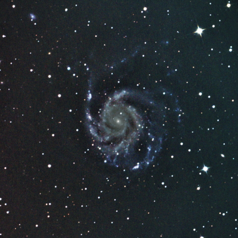 M101