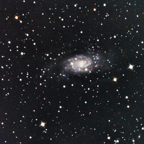 NGC2403