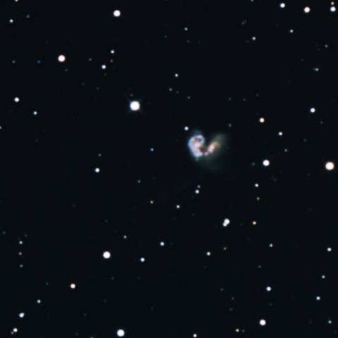 NGC4038