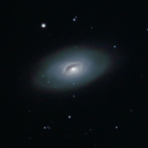 M64