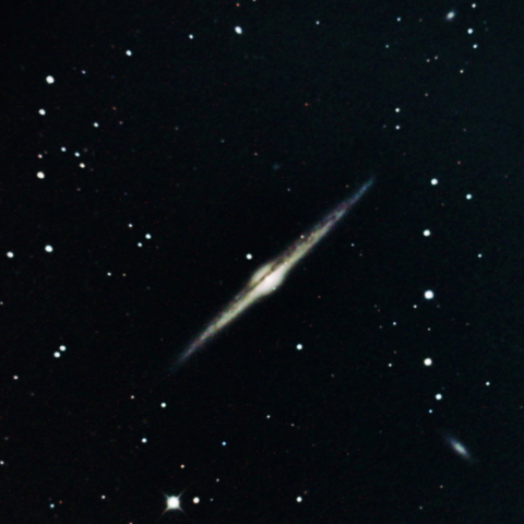 NGC4565