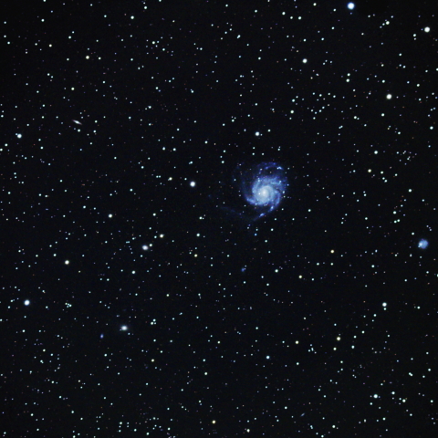 M101付近