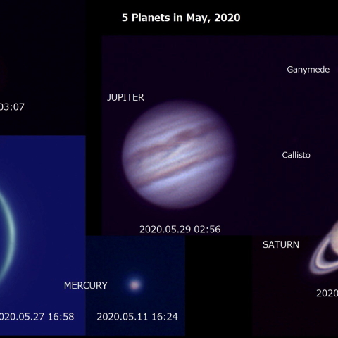 5月の火水木金土