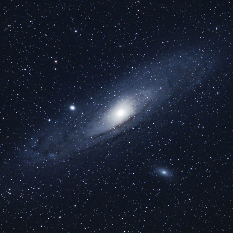 M31