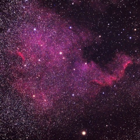 NGC7000