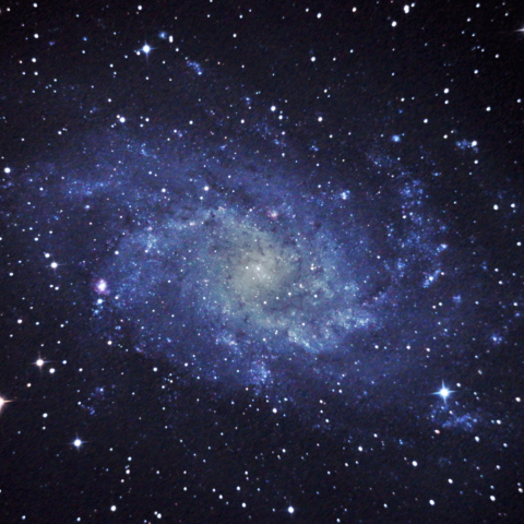 M33