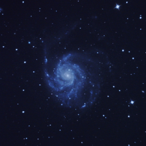 M101