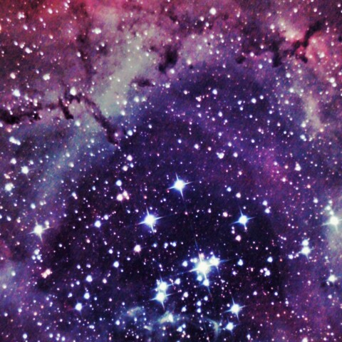 ばら星雲 & ボック・グロビュール